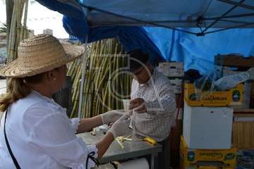 Día del Artesano y Labrador en Jinámar (Foto TA)